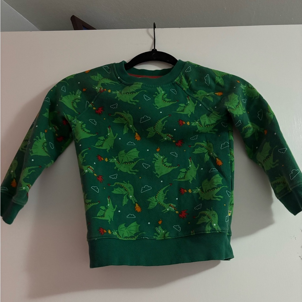 Green Dinosaur Kids Sweatshirt